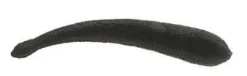Berkley GL3-BL Gulp! Freshwater 3" Leech - Black