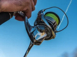 Shimano Stradic FL Spinning Reels -Shimano Freshwater Gear Sales shimano stradic fl spinning reels 33628.1651246853